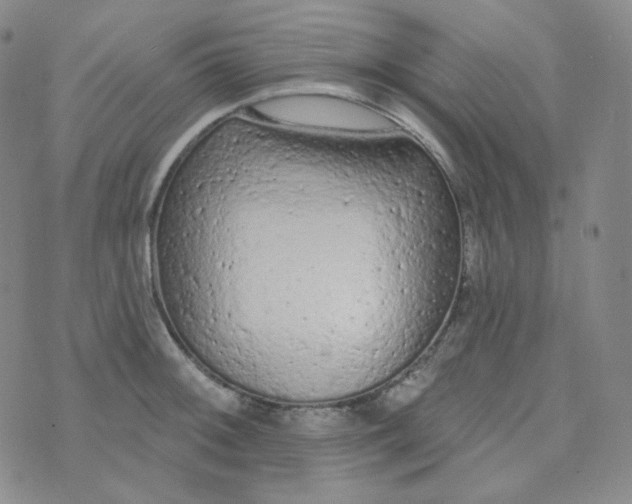 X0000074301092200609151936