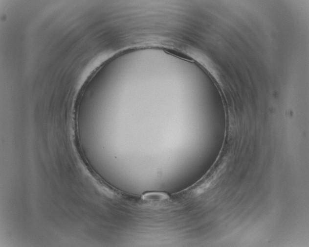 X0000074301093200609151936