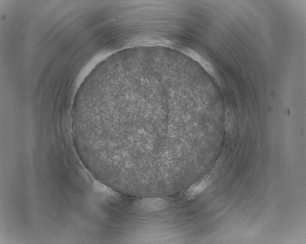 X0000074301094200609151936