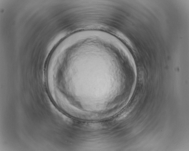 X0000074301095200609151936