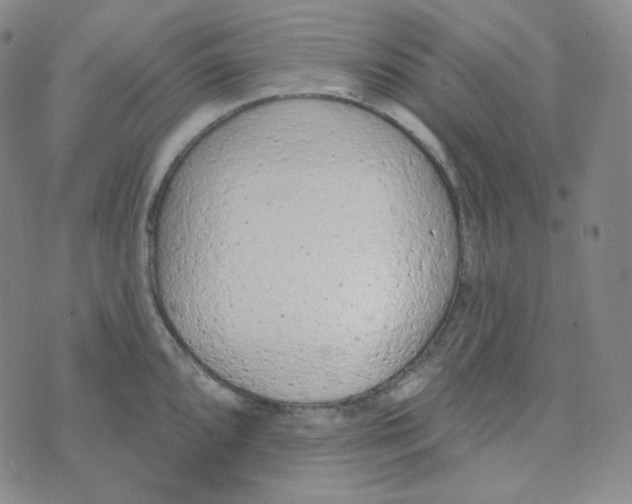 X0000074301096200609151936