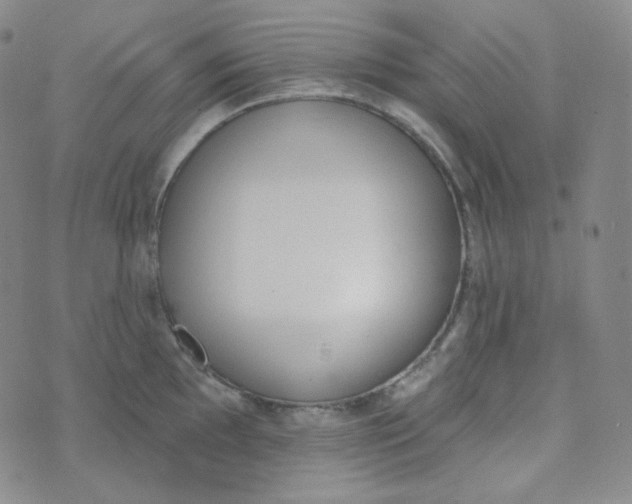 X0000074301097200609151936