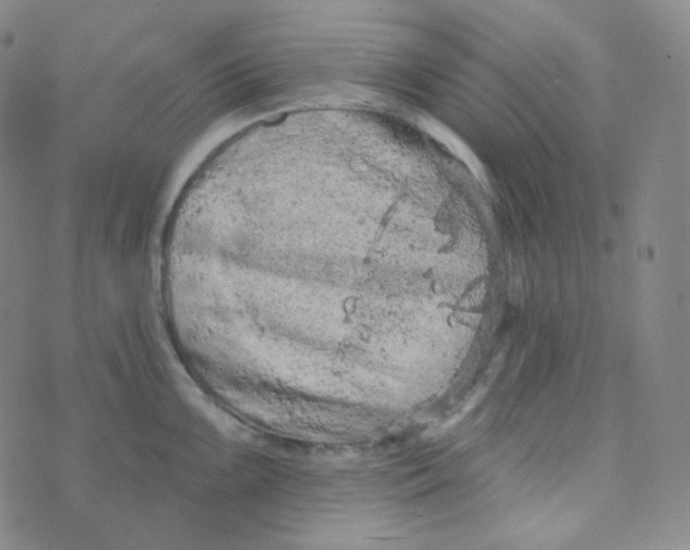 X0000074301099200609151936