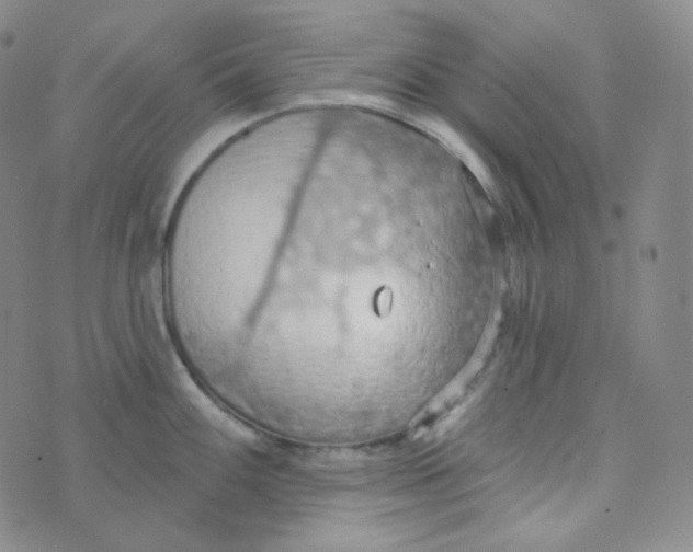 X0000074301100200609151935