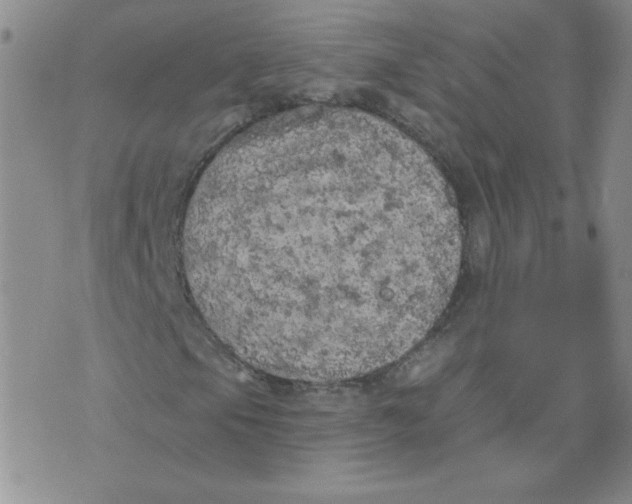 X0000074301105200609151935