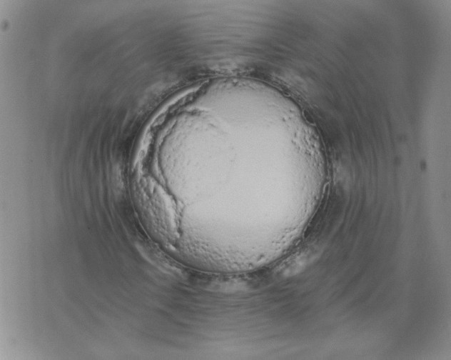 X0000074301106200609151935