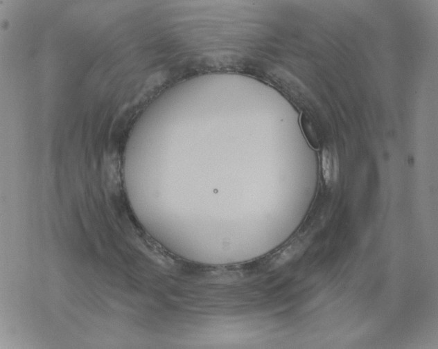 X0000074301107200609151935