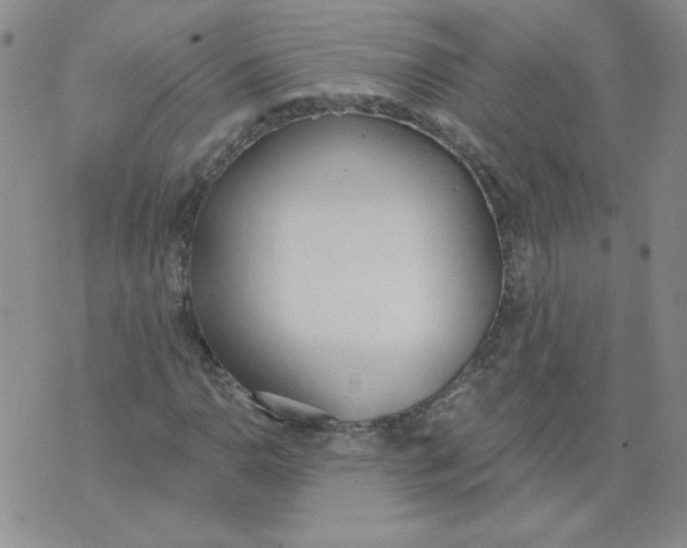 X0000074301110200609151935