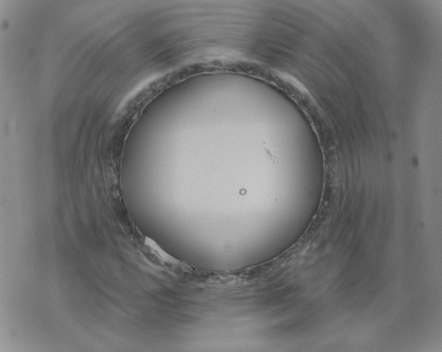 X0000074301112200609151935