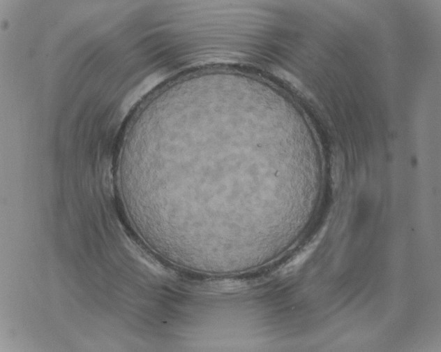 X0000074301113200609151935