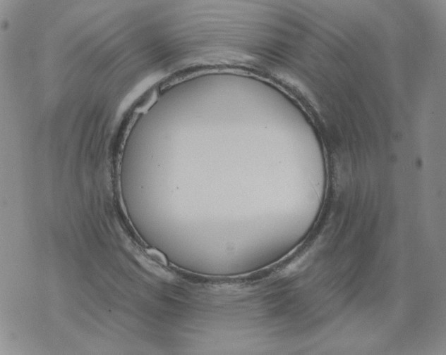 X0000074301114200609151935