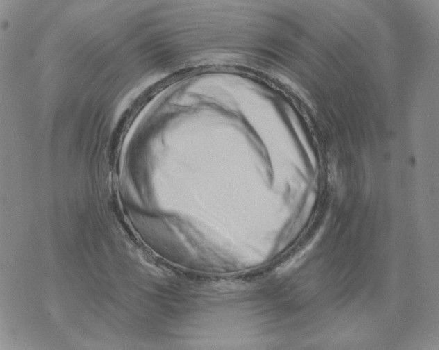 X0000074301117200609151935