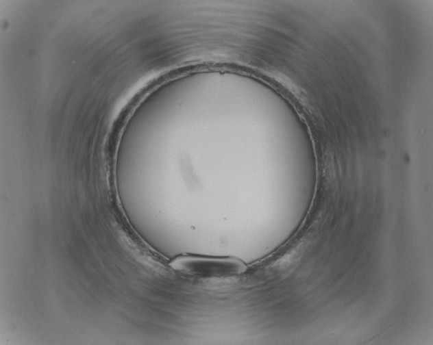 X0000074301118200609151935