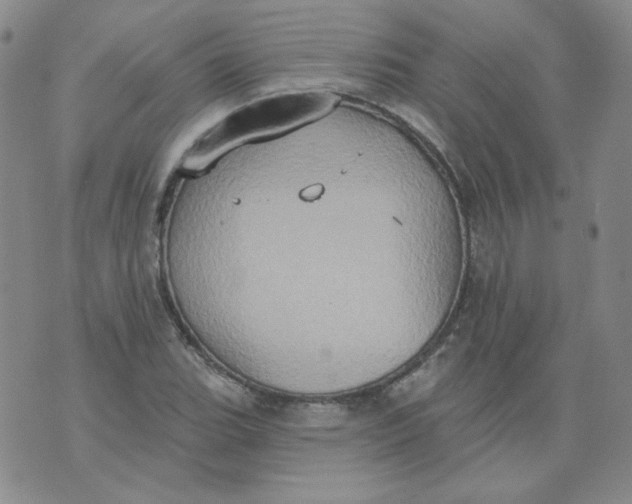 X0000074301119200609151935