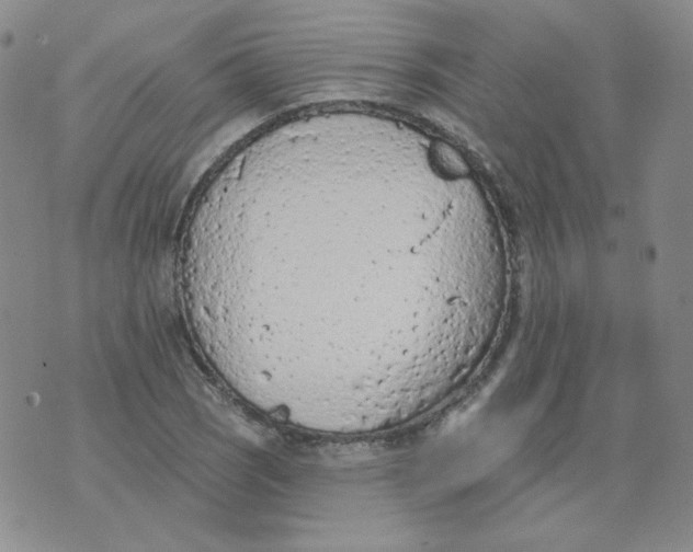 X0000074301121200609151935