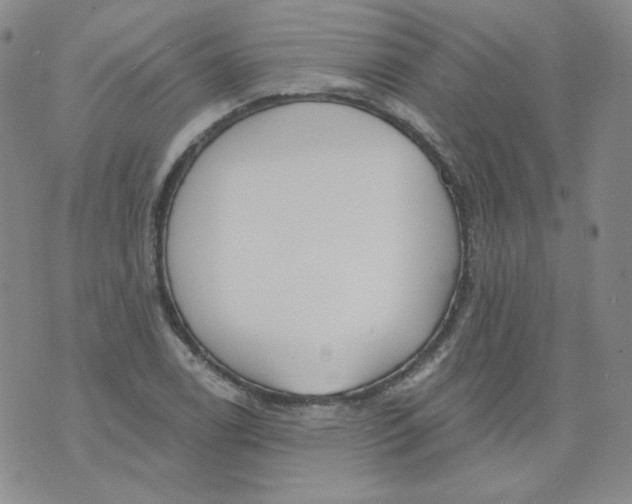 X0000074301122200609151935