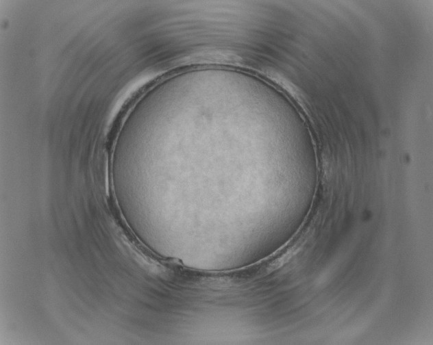 X0000074301123200609151935