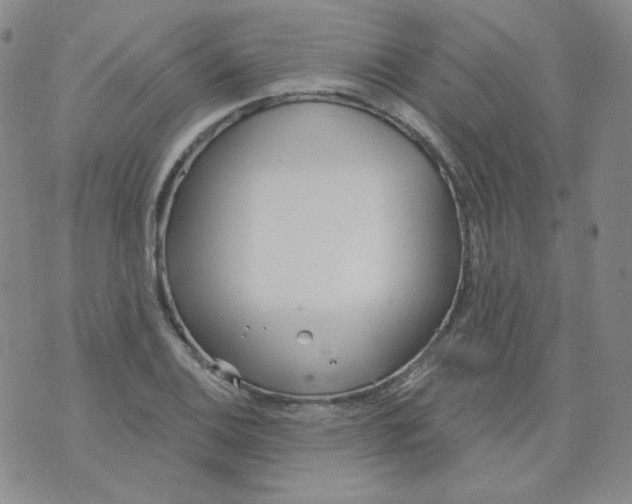 X0000074301124200609151935