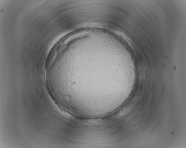 X0000074301125200609151935