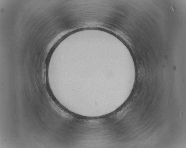 X0000074301126200609151935