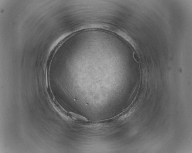 X0000074301127200609151935