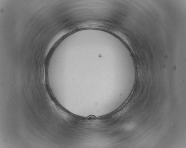 X0000074301131200609151935