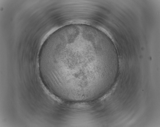 X0000074301133200609151935