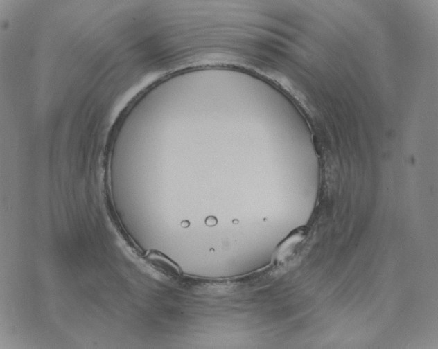 X0000074301134200609151935