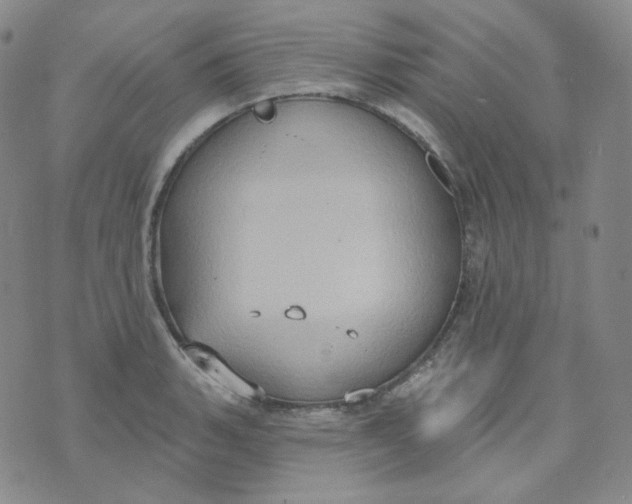 X0000074301135200609151935