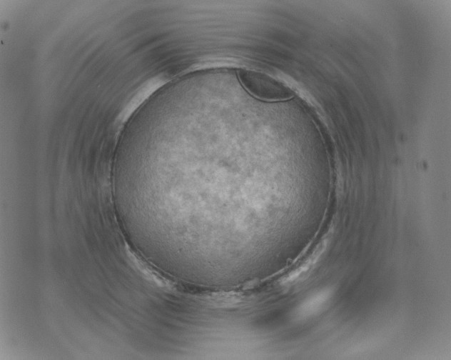 X0000074301137200609151935