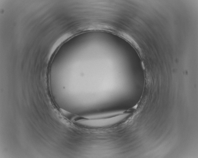 X0000074301138200609151935