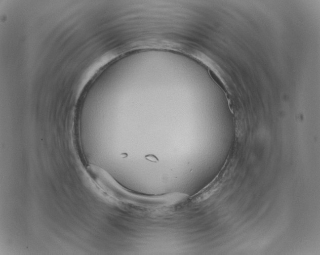 X0000074301139200609151935