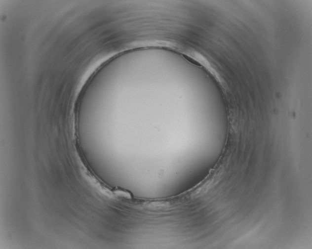 X0000074301140200609151935