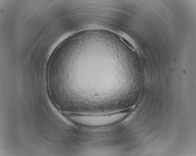 X0000074301142200609151935