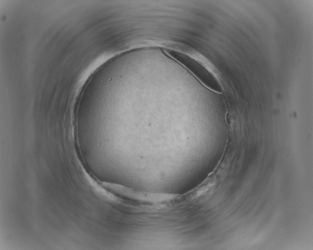 X0000074301143200609151935