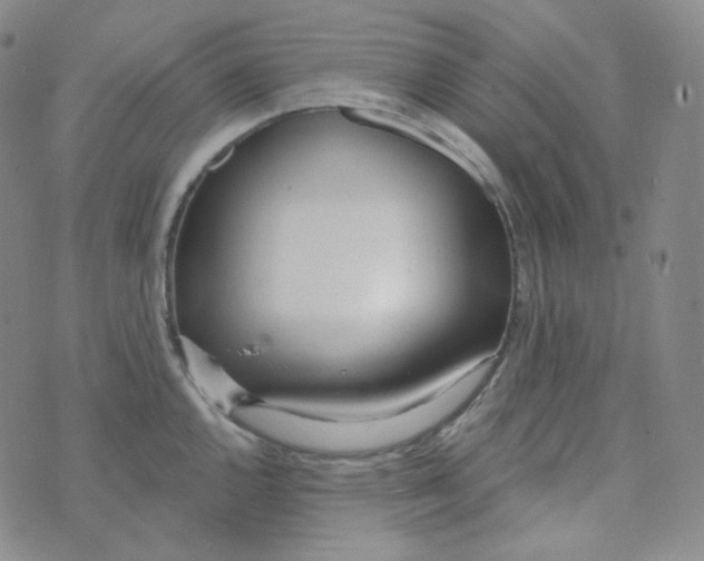 X0000074301144200609151935