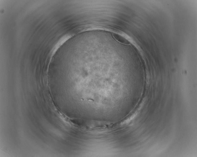 X0000074301145200609151935