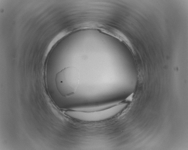 X0000074301146200609151935