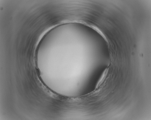 X0000074301148200609151935