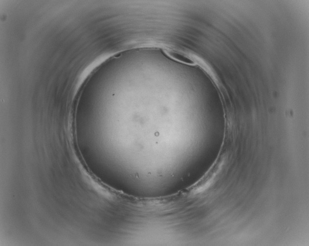 X0000074301149200609151935