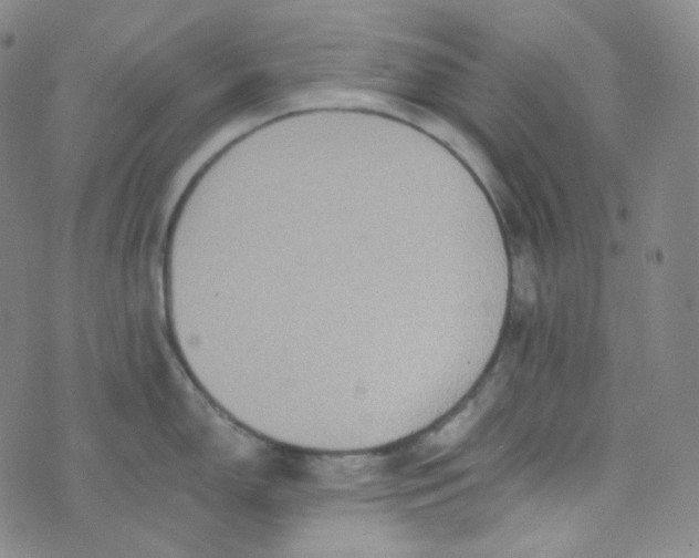 X0000074301150200609151935