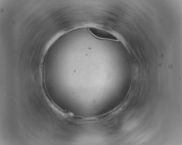 X0000074301151200609151935