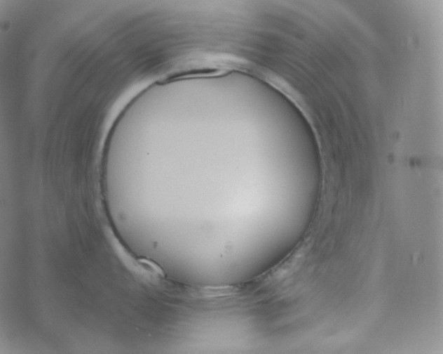 X0000074301152200609151935