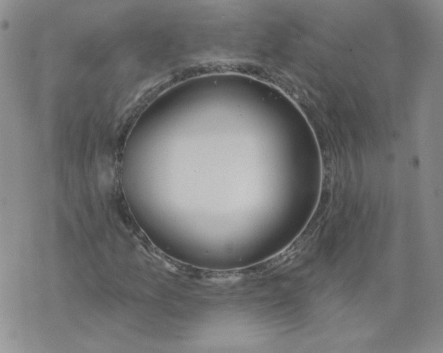 X0000074301157200609151935