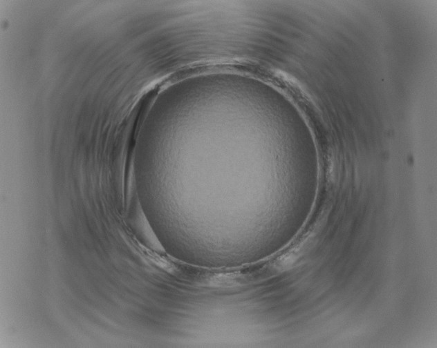 X0000074301161200609151935