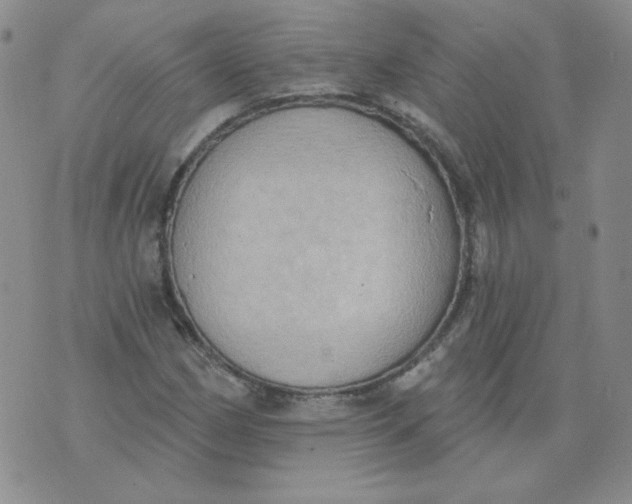 X0000074301162200609151934