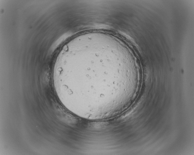 X0000074301163200609151934