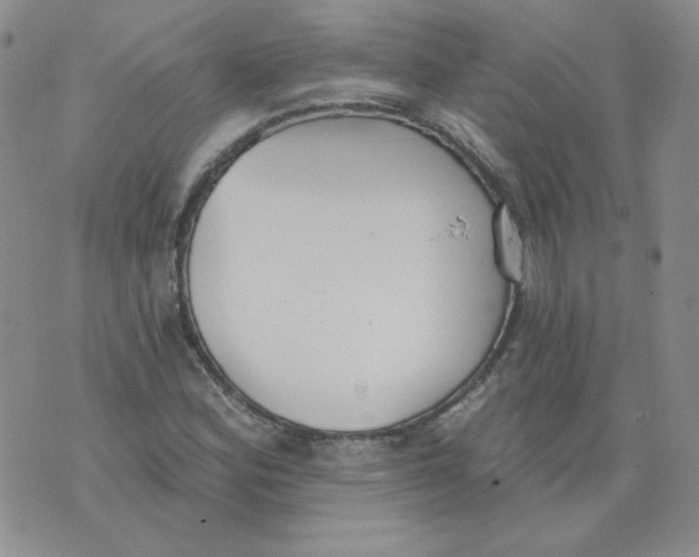 X0000074301164200609151934