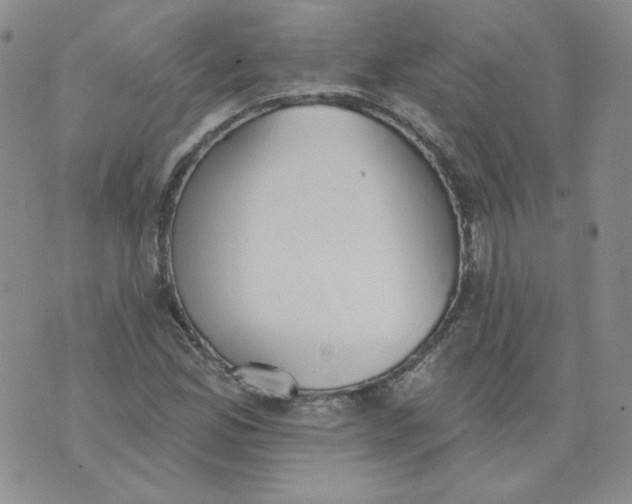 X0000074301165200609151934