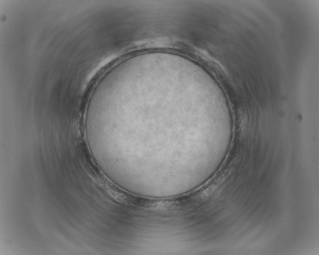 X0000074301166200609151934